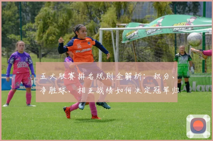 五大联赛排名规则全解析：积分、净胜球、相互战绩如何决定冠军归属？