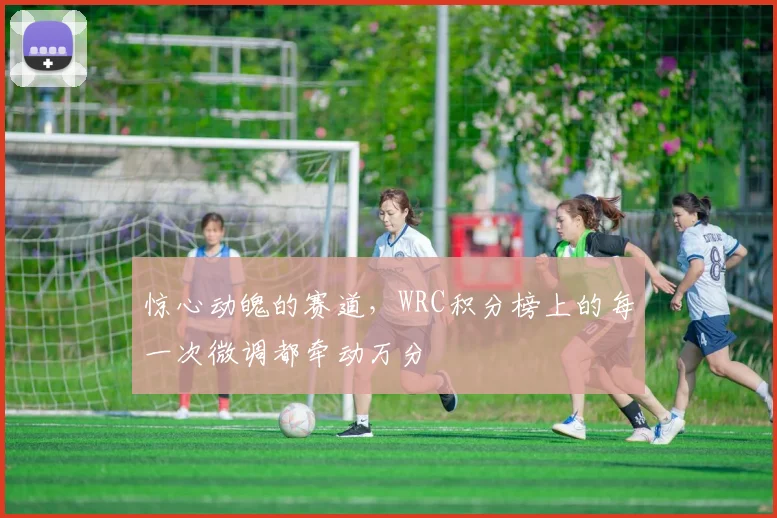 惊心动魄的赛道，WRC积分榜上的每一次微调都牵动万分